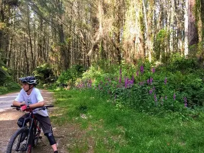 Biking Rotorua
